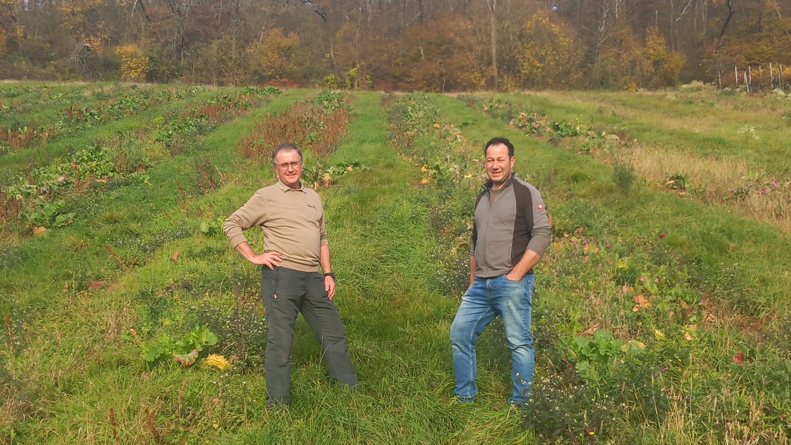 Erich und Samuel Weiberle vor brachliegenden Reblagen im Hohenhaslacher Gewann „Bronhalde“. Foto: Glemser