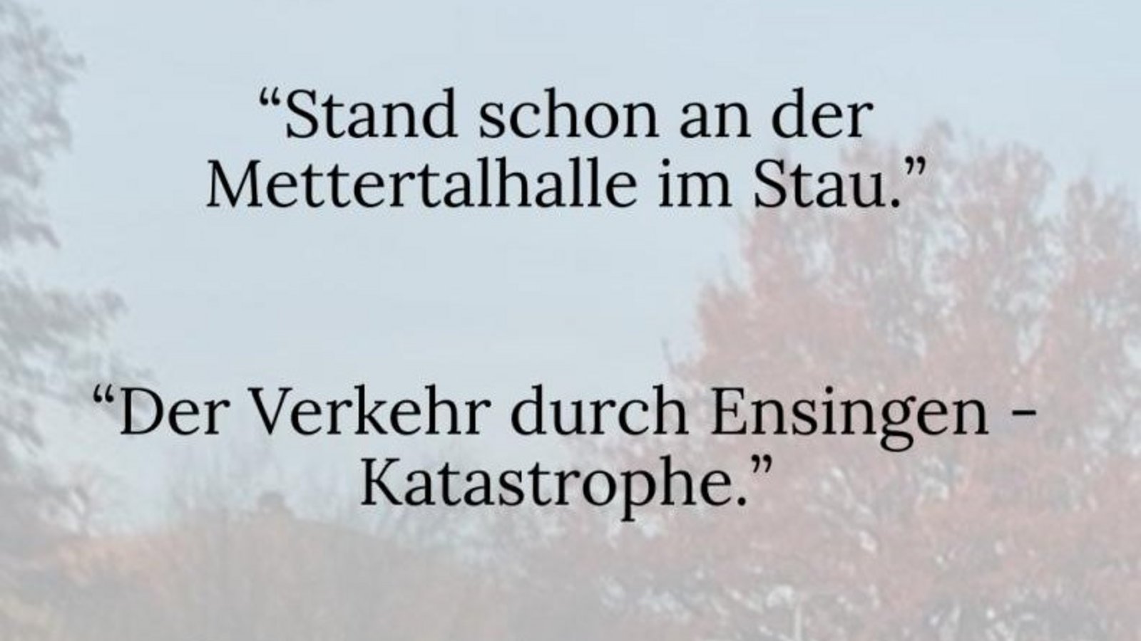 Das sagen unsere Follower und Followerinnen auf Instagram. Foto/Grafik: Hermann/Müller