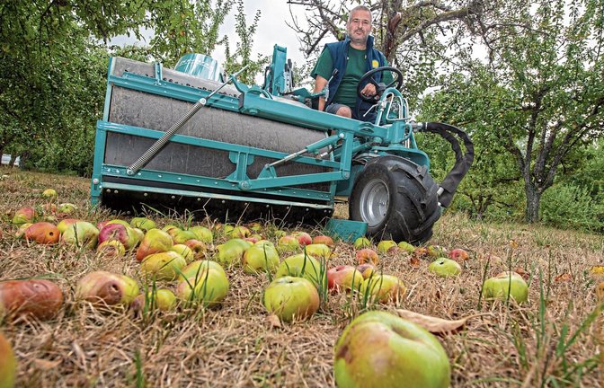 Obstbaumpfleger Fabian Köstlin hofft, dass durch seine Hilfe wieder mehr Stücklesbesitzer im Kirbachtal Interesse an der Apfelernte bekommen.  Foto: Kalb
