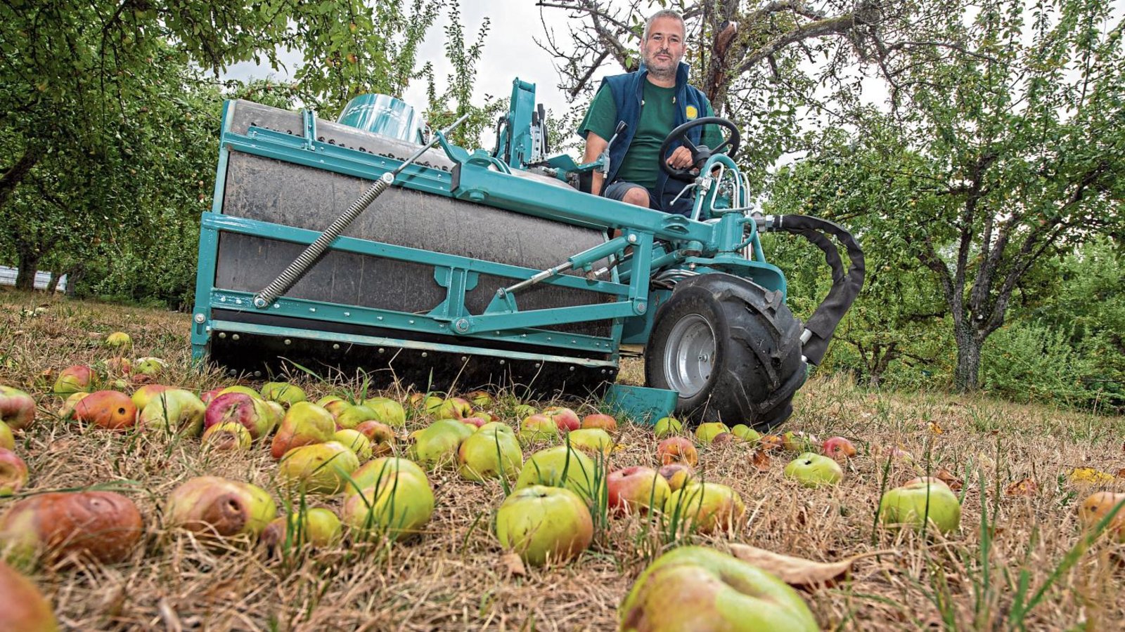 Obstbaumpfleger Fabian Köstlin hofft, dass durch seine Hilfe wieder mehr Stücklesbesitzer im Kirbachtal Interesse an der Apfelernte bekommen.  Foto: Kalb