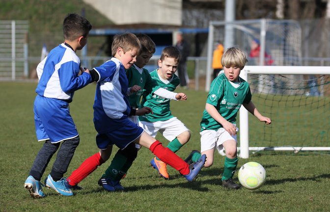 Kleine Kicker, viele Tore: Die Bambini der SG Vaihingen (blaue Trikots) und des TSV Kleinglattbach haben sich am Vaihinger Benefiz-Turniertag zu Gunsten der Ukraine beteiligt. <span class='image-autor'>Foto: Küppers</span>