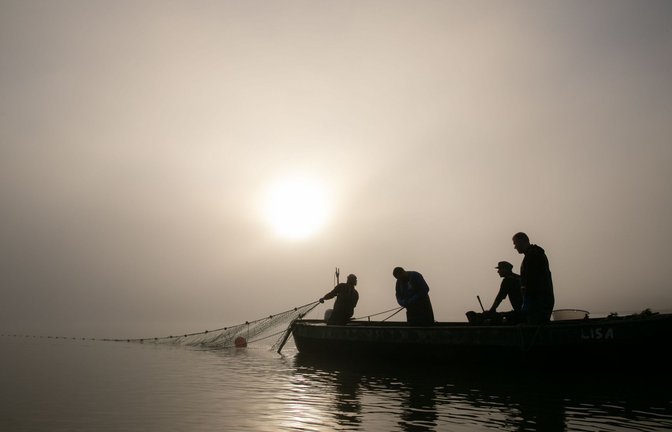 Die Fischer im Havelland spüren den Klimawandel drastisch.<span class='image-autor'>Foto: Sascha Montag/Sascha Montag</span>