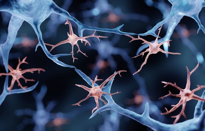 Mikroglia-Zellen sind Ansammlungen der verästelten Abwehrzellen im  Gehirn.<span class='image-autor'>Foto: Imago/Science Photo Library</span>