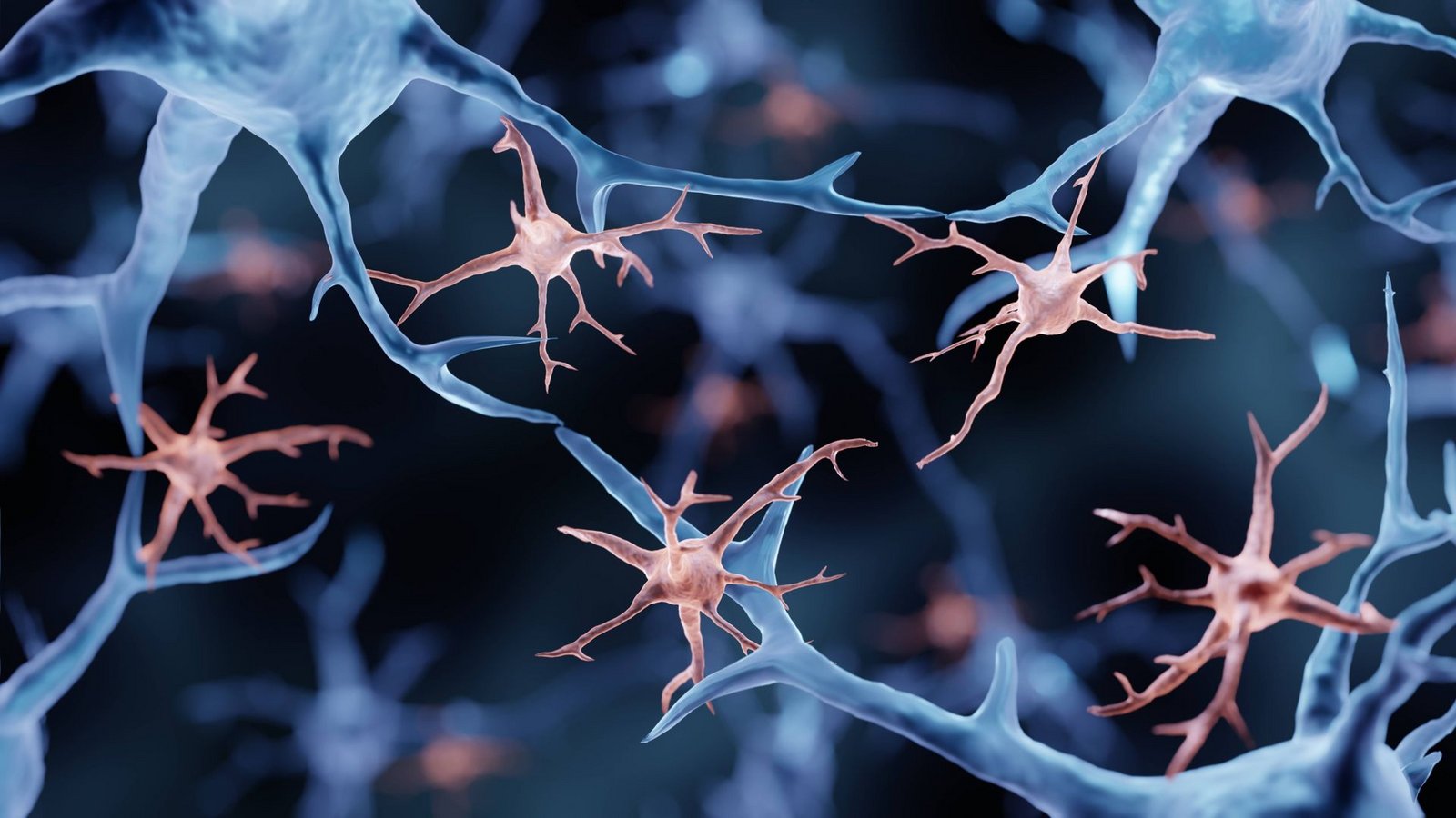 Mikroglia-Zellen sind Ansammlungen der verästelten Abwehrzellen im  Gehirn.Foto: Imago/Science Photo Library