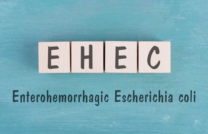 So wird EHEC übertragen.<span class='image-autor'>Foto: Berit Kessler / shutterstock.com</span>