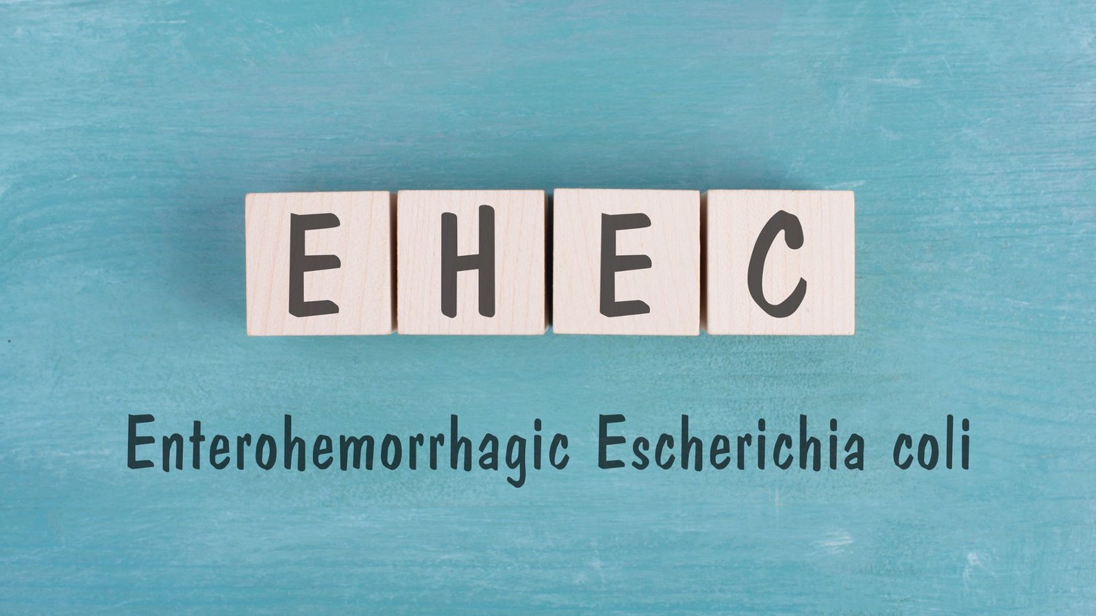 So wird EHEC übertragen.Foto: Berit Kessler / shutterstock.com So wird EHEC übertragen.Foto: Berit Kessler / shutterstock.com