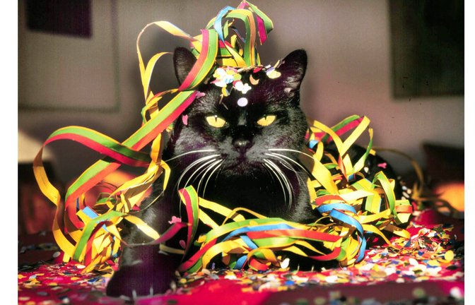 Wer an den Karnevalstagen zu tief in Glas schaut, könnte einen ungebetenen Gast bemerken: den Kater nach dem Rausch.<span class='image-autor'>Foto: Imago/Heinz Gebhardt</span>
