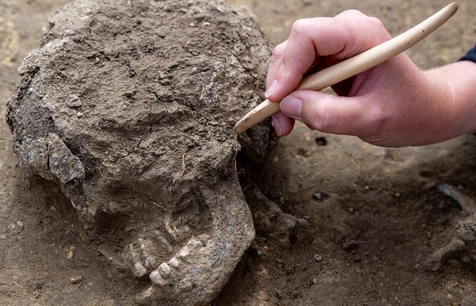 In den  beiden Totenhütten wurden die 6000 Jahre alten Skelette von Verstorbenen ausgegraben.<span class='image-autor'>Foto: dpa/Hendrik Schmidt</span>