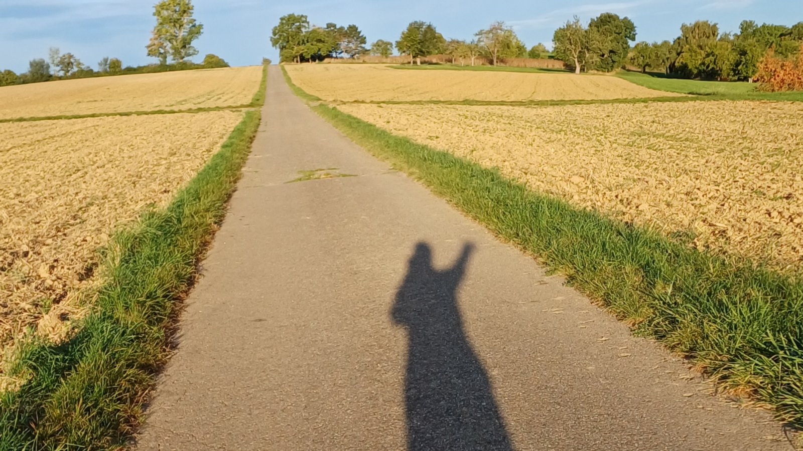 Die Jahreszeit der langen Schatten.  Foto: Rücker