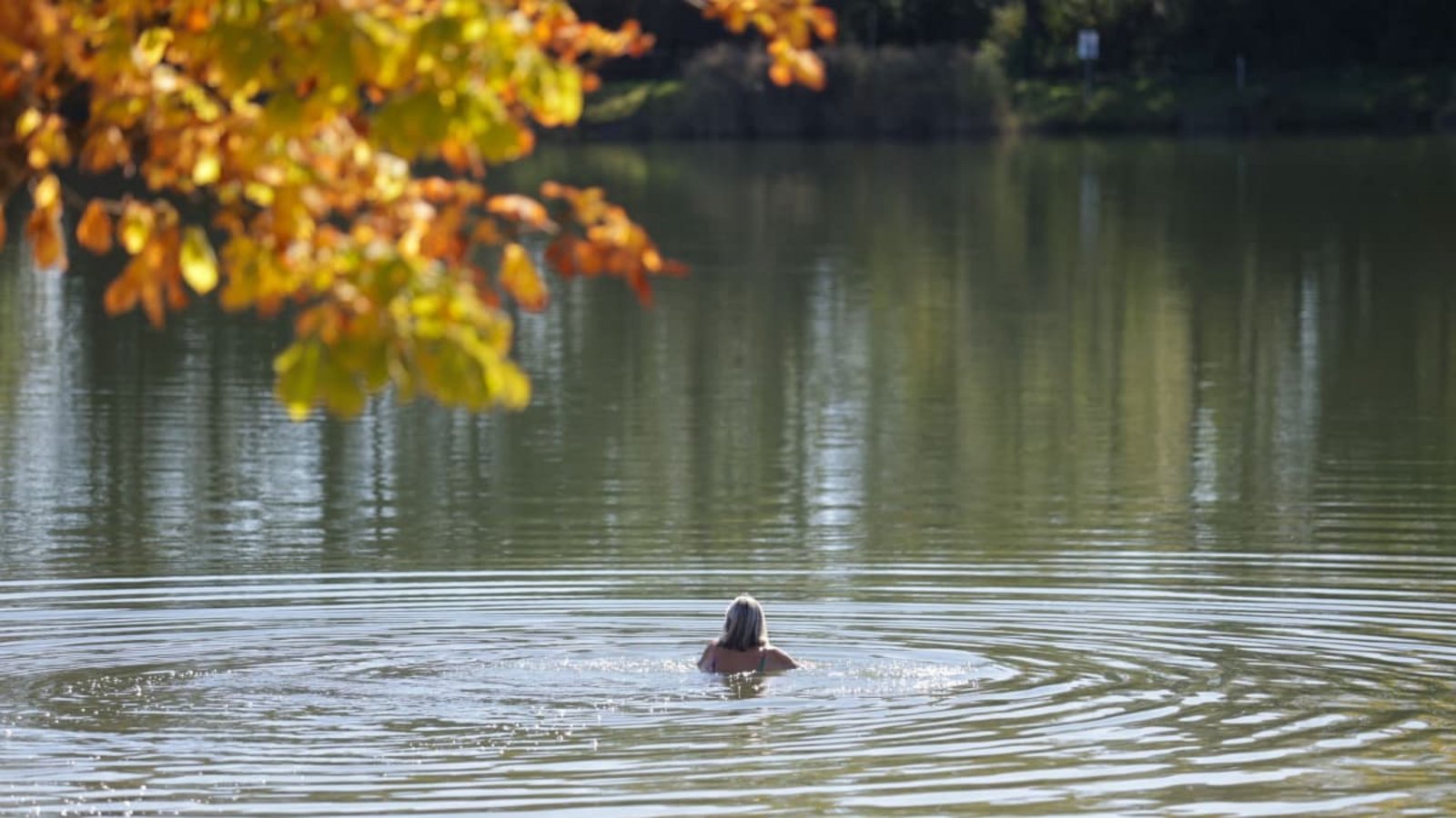 Eine Frau badet im Schwarzachtalsee.Thomas Warnack/dpa Eine Frau badet im Schwarzachtalsee.Thomas Warnack/dpa
