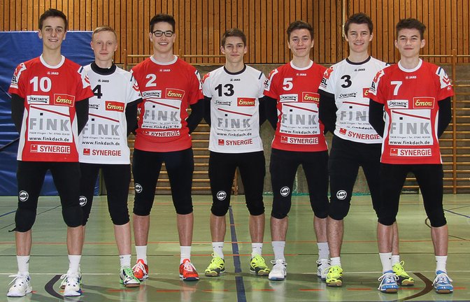 FaustballDM2017_TVVaihingenU18
