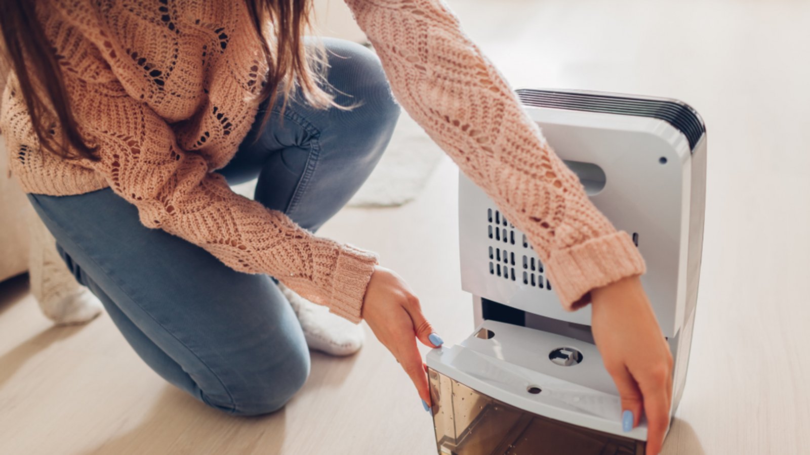 So funktionieren die Luftentfeuchter.Foto: Mariia Boiko / shutterstock.com So funktionieren die Luftentfeuchter.Foto: Mariia Boiko / shutterstock.com