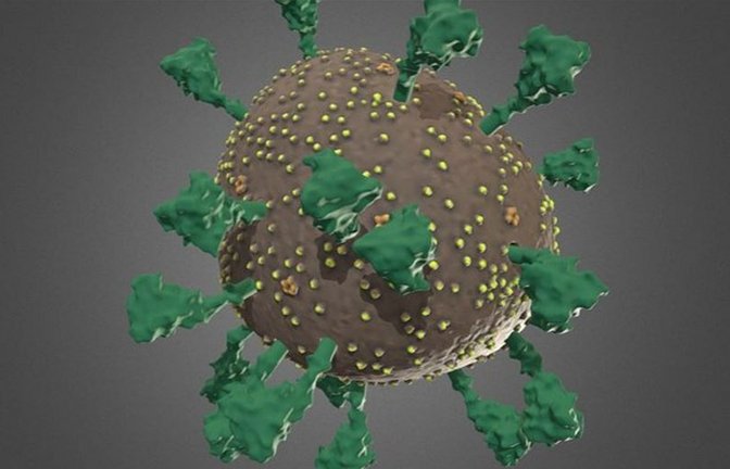 Bisher ging man von 100 Stacheln beim Coronavirus aus. Tatsächlich dürften es nur 25 sein.<span class='image-autor'>Foto: UHH/A. Thorn</span>