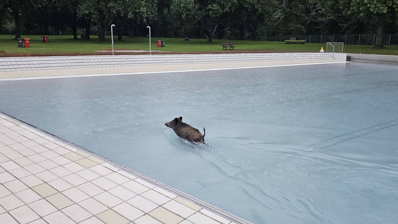 Einer der beiden Badegäste genießt die Abkühlung im Wellenbecken.Foto: Karlsruher Bäder/dpa Einer der beiden Badegäste genießt die Abkühlung im Wellenbecken.Foto: Karlsruher Bäder/dpa