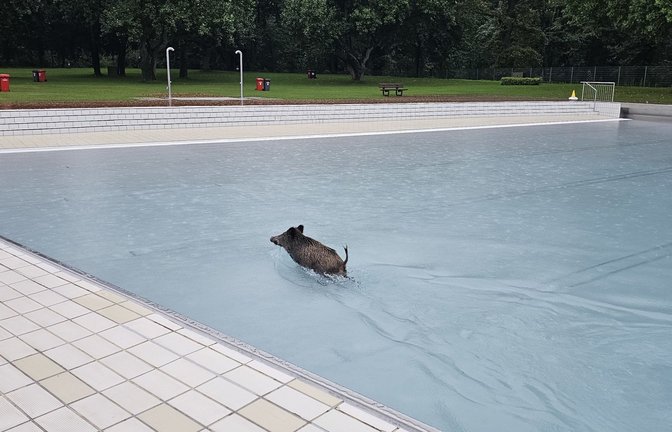 Einer der beiden Badegäste genießt die Abkühlung im Wellenbecken.<span class='image-autor'>Foto: Karlsruher Bäder/dpa</span>