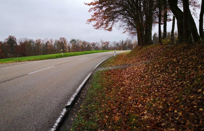 Wann kommt die Sanierung der Landesstraße zwischen Großglattbach und dem Abzweig nach Lomersheim? <span class='image-autor'>Fotos: p</span>