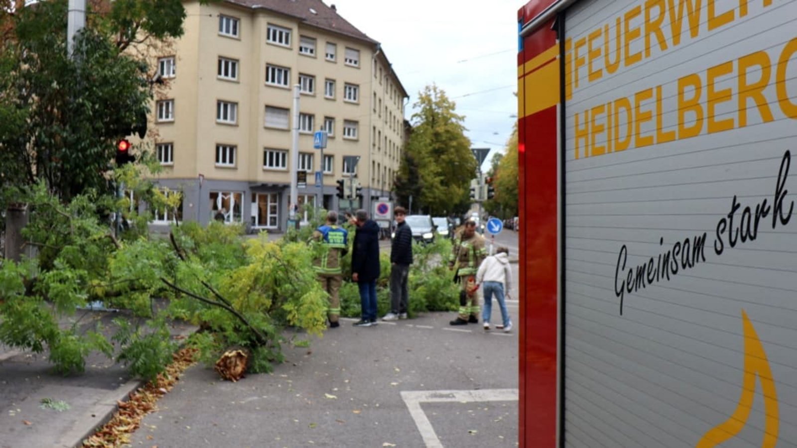 Auch in Heidelberg wurden Bäume entwurzelt.Rene Priebe/dpa