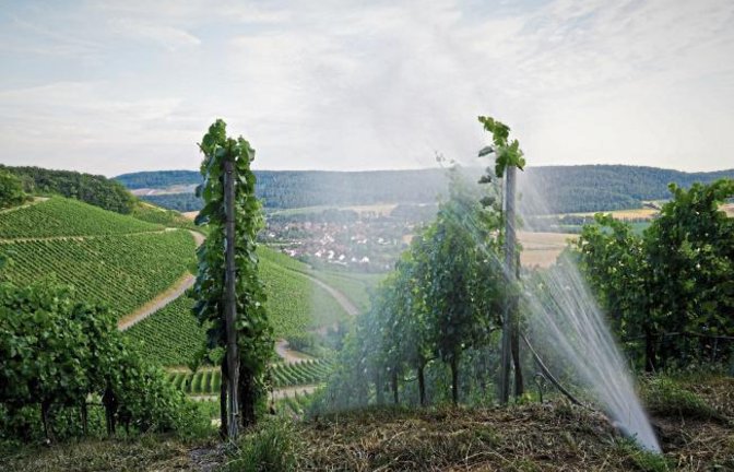 Ein Geysir in Gündelbach ? Nein es war ein Defekt in der Weinbergbewässerung. Fotografiert von Rudi Thalhäuser.