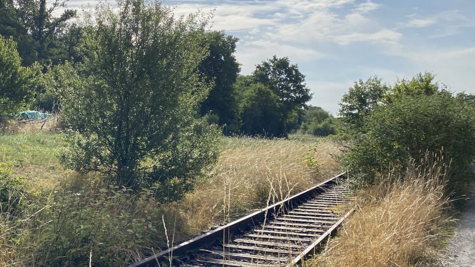 Der Weg führt ein ganzes Stück entlang der alten Gleise in Kleinglattbach. Fotos: Gaißert