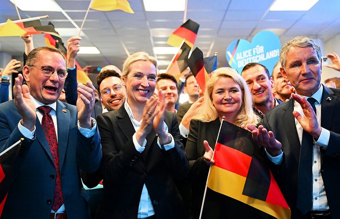 Die AfD feierte ihren Erfolg bei der Bundestagswahl.<span class='image-autor'>Foto: dpa</span>