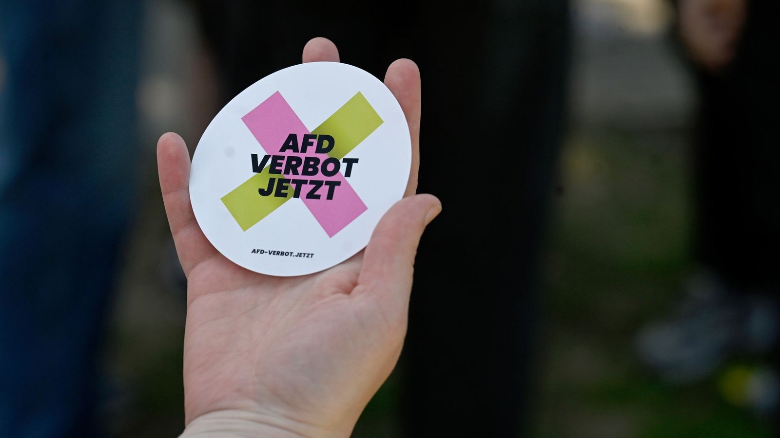 Viele Parteien fordert ein AfD-Verbot – doch das umzusetzen, wäre riskant.Foto: Roberto Pfeil/dpa Viele Parteien fordert ein AfD-Verbot – doch das umzusetzen, wäre riskant.Foto: Roberto Pfeil/dpa