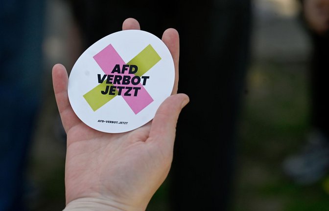 Viele Parteien fordert ein AfD-Verbot – doch das umzusetzen, wäre riskant.<span class='image-autor'>Foto: Roberto Pfeil/dpa</span>