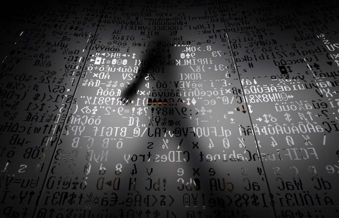 Im digitalen Dschungel bieten Antivirenprogramme Schutz vor Cyber-Attacken.<span class='image-autor'>Foto: AFP/KIRILL KUDRYAVTSEV</span>