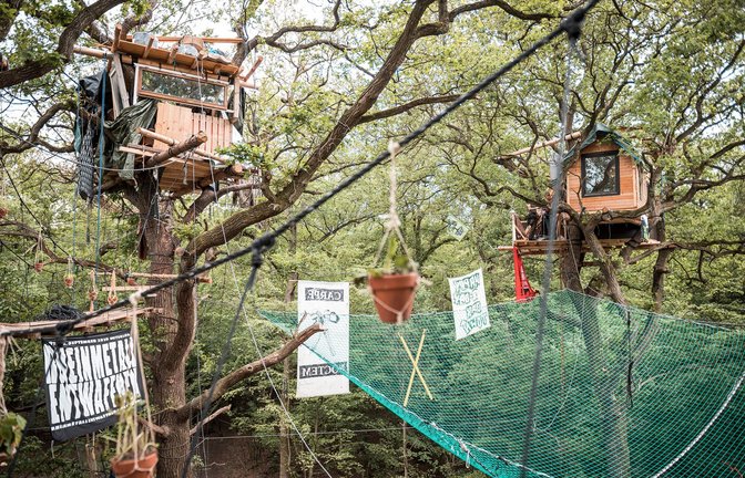Fragile Baumhäuser im Hambacher Forst, die während des Protests im Jahr 2019 errichtet worden sind.<span class='image-autor'>Foto: DAM/Tim Wagner</span>