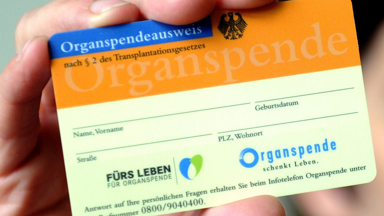 Wer im Sommer ins Ausland reist, sollte sich mit den jeweiligen Organspende-Regeln befassen (Symbolfoto).Foto: dpa/Caroline SeidSeidel-Dißmannel
