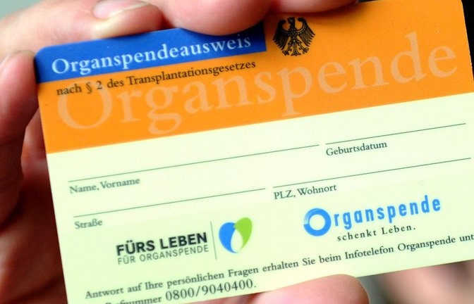 Wer im Sommer ins Ausland reist, sollte sich mit den jeweiligen Organspende-Regeln befassen (Symbolfoto).<span class='image-autor'>Foto: dpa/Caroline SeidSeidel-Dißmannel</span>