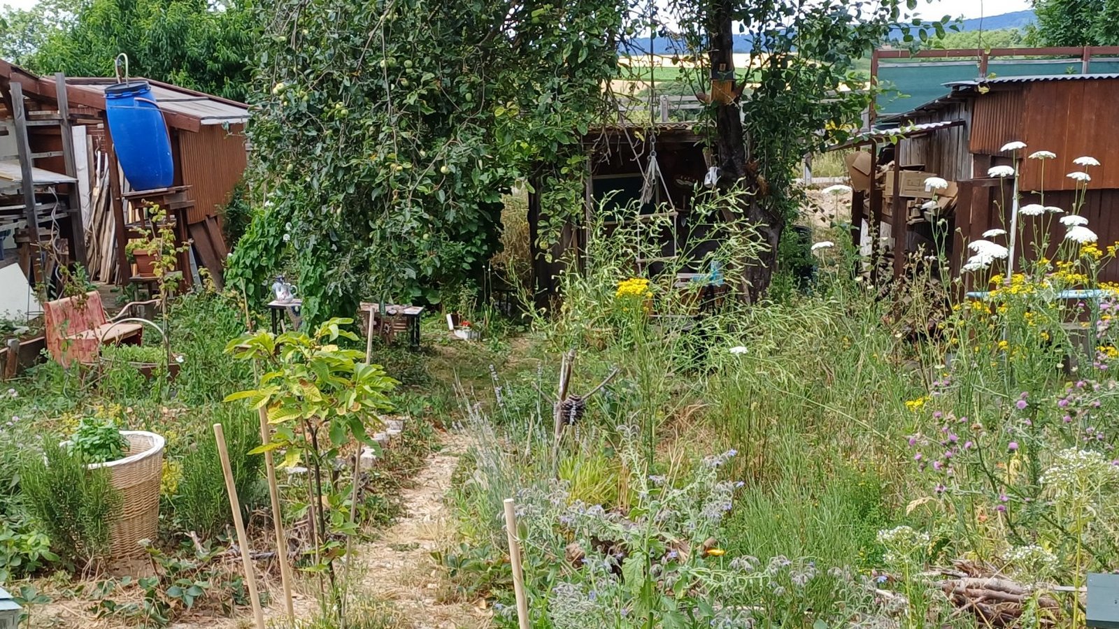 Viele Strukturen für viele Lebewesen.  Fotos: Rücker (4)