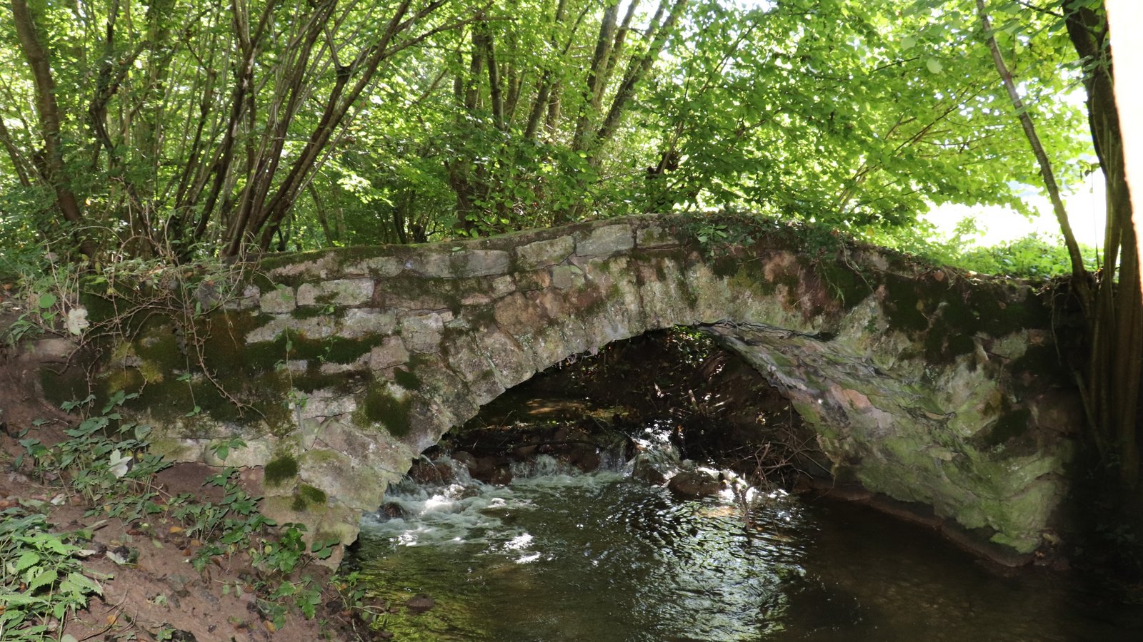 Diese steinerne Bogenbrücke wartet in der Talaue auf Entdeckung. Fotos: Gergen