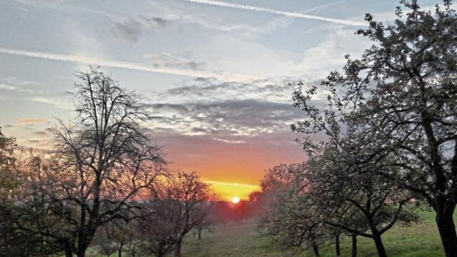 Da muss einfach geknipst werden: Auricher Streuobstwiese am Morgen.  Foto: Rücker