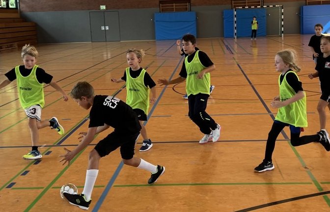 Auf der Jagd nach dem Ball.  <span class='image-autor'>Foto: p</span>
