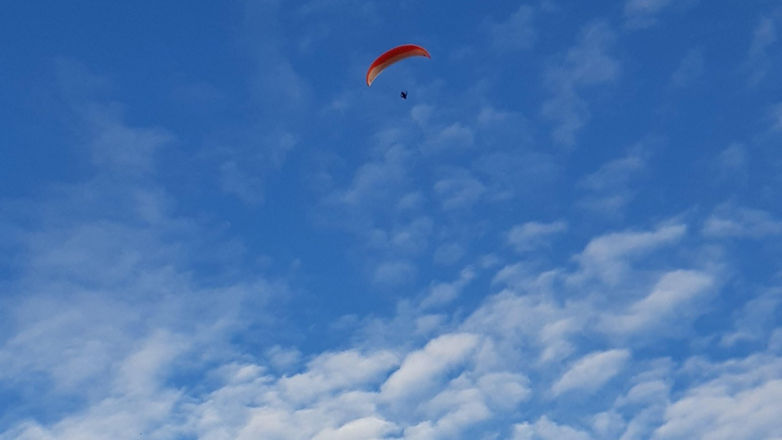 In der Luft: Bei schönstem Wetter und bester Thermik sind die Gleitschirmflieger über dem Teufelsberg bei Hohenhaslach unterwegs, gesehen von Gudrun Kraft-von Hausenn
