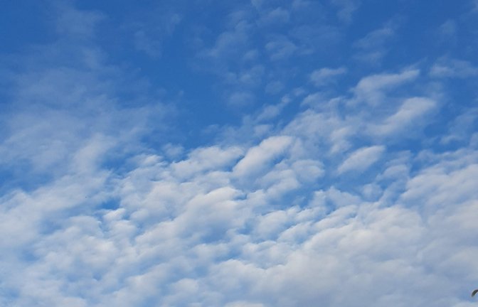 In der Luft: Bei schönstem Wetter und bester Thermik sind die Gleitschirmflieger über dem Teufelsberg bei Hohenhaslach unterwegs, gesehen von Gudrun Kraft-von Hausenn