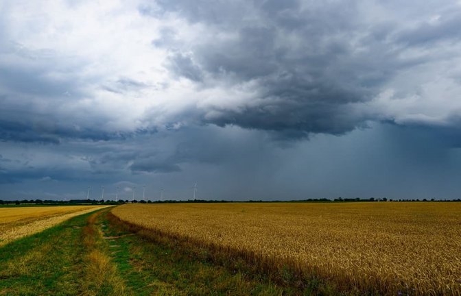 Amtliche Gewitterwarnung für Sigmaringen: Der DWD erwartet Starkregen, Hagel und Sturmböen bis 75 km/h. Die Wetterprognose im Überblick.<span class='image-autor'>Patrick Pleul/dpa</span>