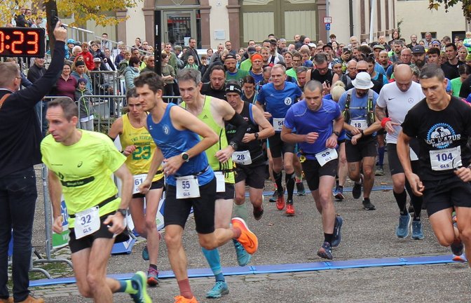 Zahlreiche Teilnehmer freuen sich auf den Ensinger Laufcup 2026. <span class='image-autor'>Foto: Dittrich</span>