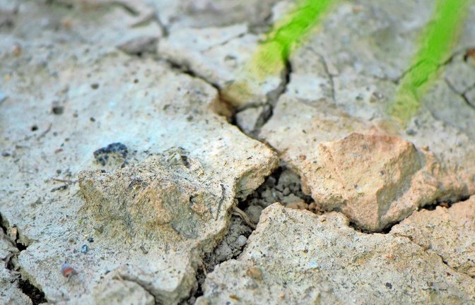 In den Klimaanpassungskonzepten müssen Landkreise auch Wege für den Umgang mit Trockenheit finden.<span class='image-autor'>Foto: IMAGO/Martin Wagner</span>