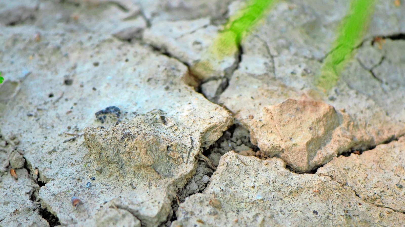 In den Klimaanpassungskonzepten müssen Landkreise auch Wege für den Umgang mit Trockenheit finden.Foto: IMAGO/Martin Wagner In den Klimaanpassungskonzepten müssen Landkreise auch Wege für den Umgang mit Trockenheit finden.Foto: IMAGO/Martin Wagner