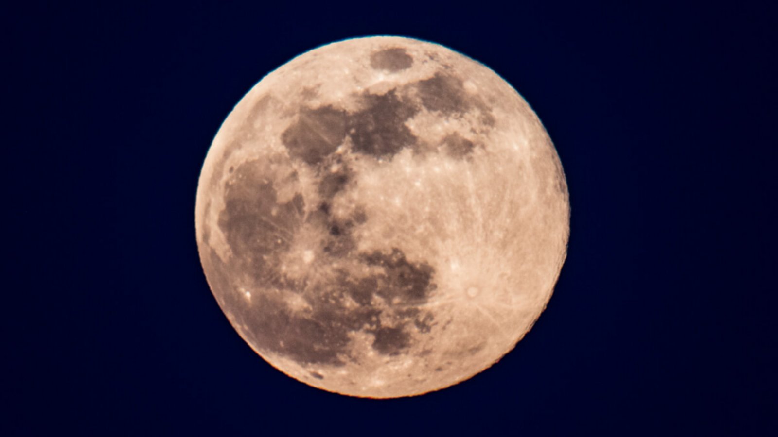 Foto: Russ Heinl / Shutterstock.com Foto: Russ Heinl / Shutterstock.com