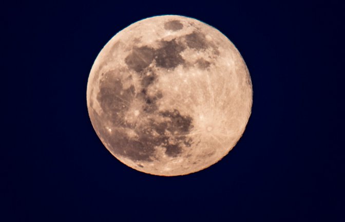 Foto: Russ Heinl / Shutterstock.com