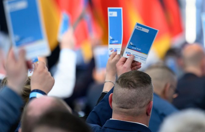 Die AfD will Verschärfungen in der Migrationspolitik.<span class='image-autor'>Foto: Hendrik Schmidt/dpa</span>