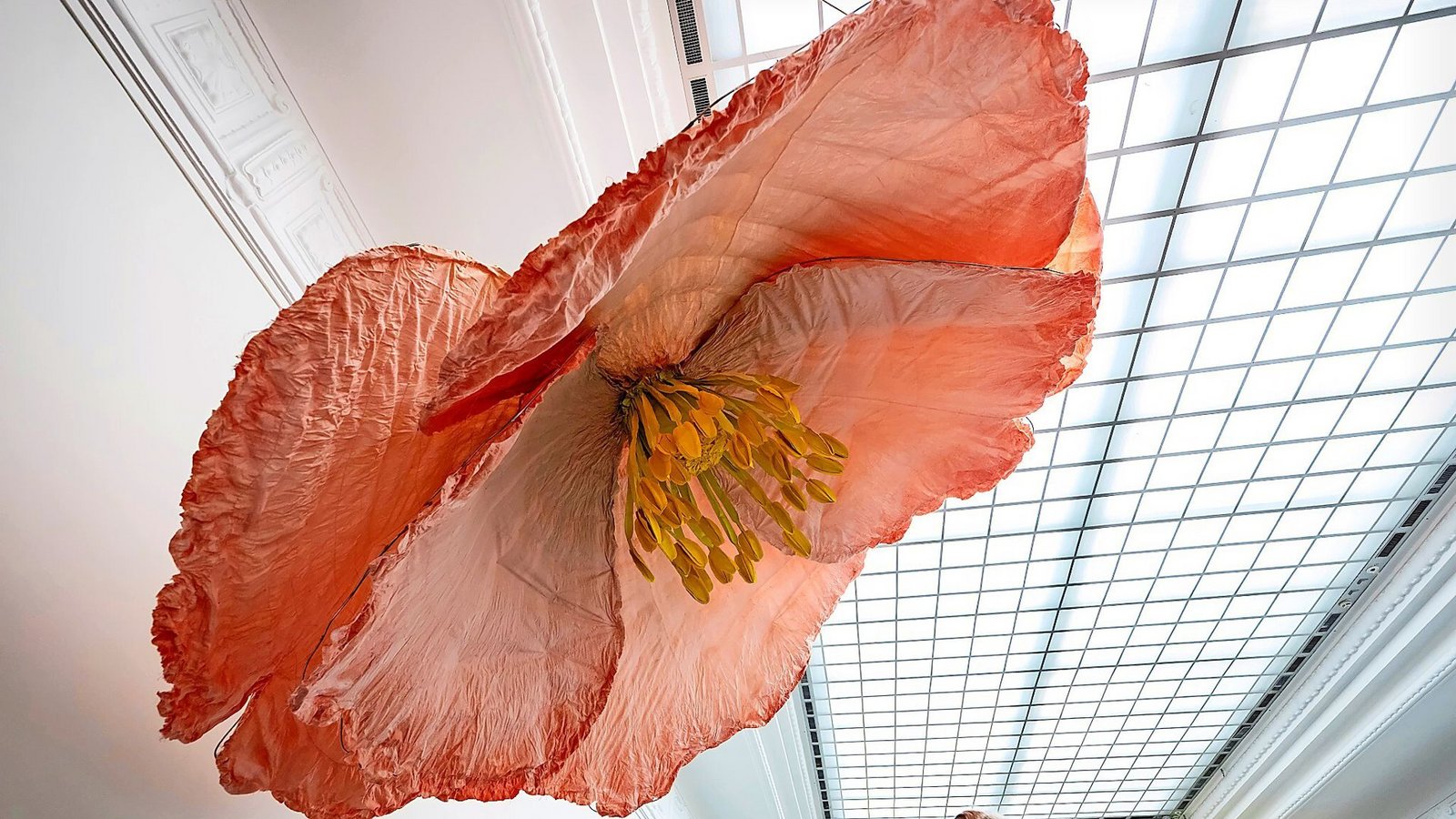 Petrit Halilaj und Alvaro Urbano zeigen vergrößerte Blumen, die für ihre Freundschaft eine Rolle spielen.Foto: Petrit Halilaj, Alvaro Urbano/Uli Deck Petrit Halilaj und Alvaro Urbano zeigen vergrößerte Blumen, die für ihre Freundschaft eine Rolle spielen.Foto: Petrit Halilaj, Alvaro Urbano/Uli Deck