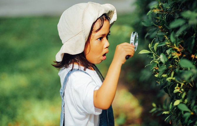 Giftig oder nicht? Lieber mal genau hingucken<span class='image-autor'>Foto: Narin Sapaisarn</span>