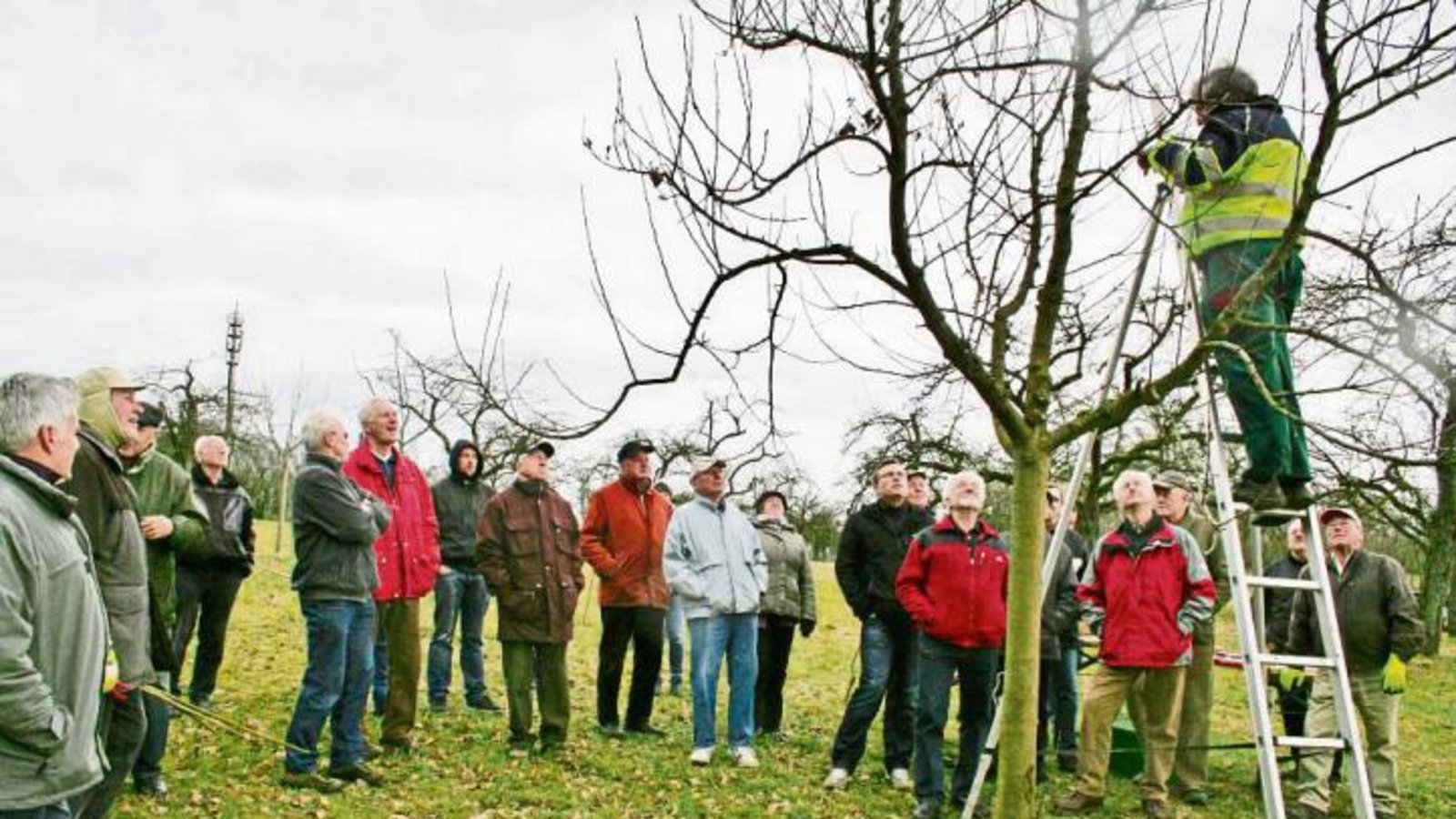 Winterschnittkurs in Oberriexingen. Foto: p Winterschnittkurs in Oberriexingen. Foto: p