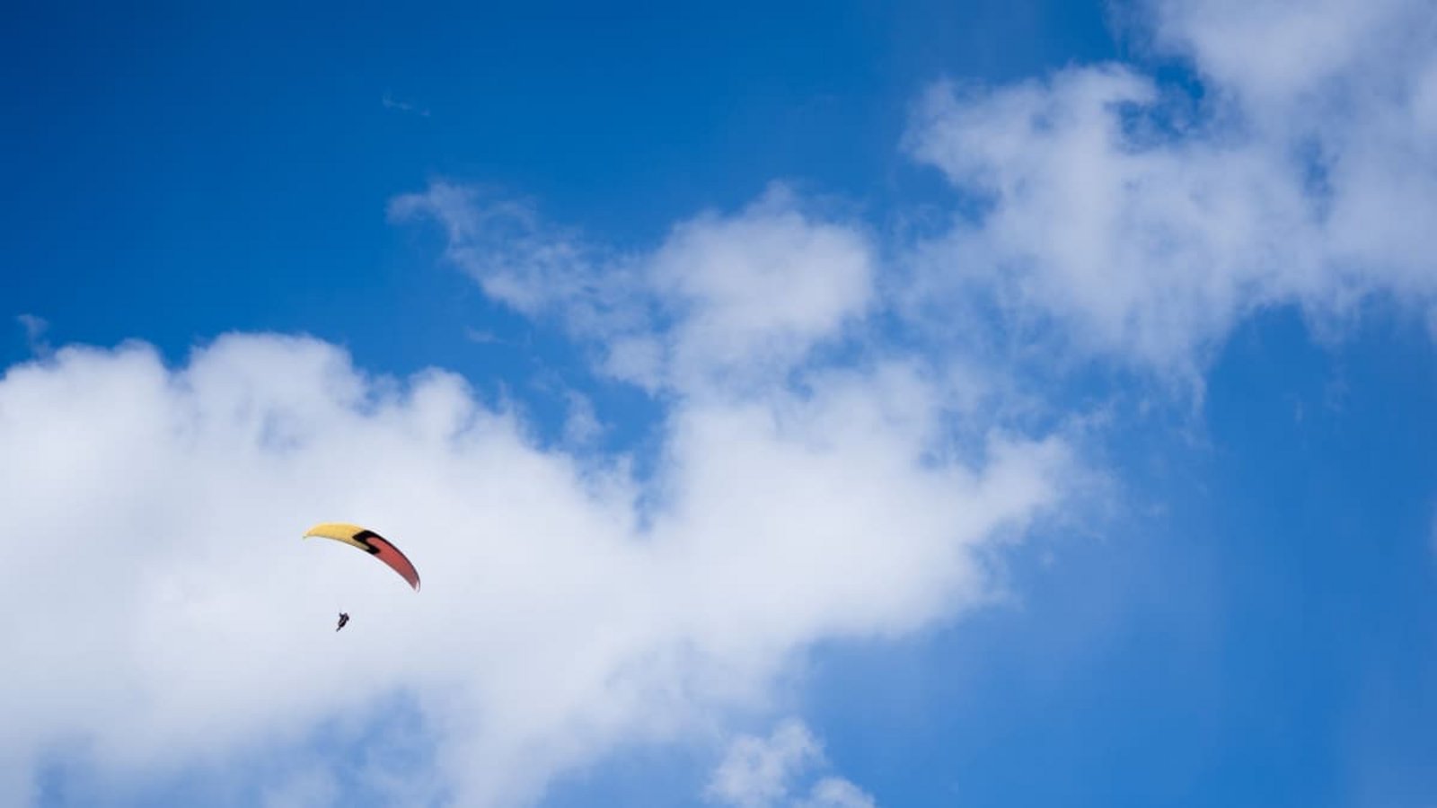 Beim Landeanflug habe der Mann bei Titisee-Neustadt die Kontrolle über seinen Gleitschirm verloren. (Symbolbild)Nicolas Armer/dpa Beim Landeanflug habe der Mann bei Titisee-Neustadt die Kontrolle über seinen Gleitschirm verloren. (Symbolbild)Nicolas Armer/dpa