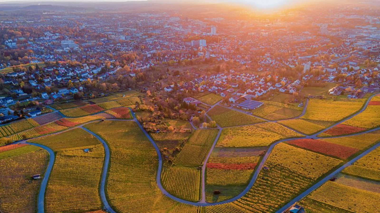 Der Wartberg gehörte bei der Gartenschau von 1993 zum Gelände.Foto: pivat/Stadt Stuttgart