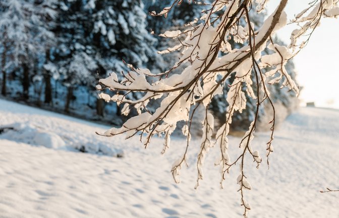 Erfahren Sie, wann das Wetter in Deutschland wieder besser wird. Aktuelle Vorhersagen für die nächsten Tage: Glätte, milde Temperaturen und erste Sonnenstrahlen.<span class='image-autor'>Foto: schame / schutterstock.com</span>