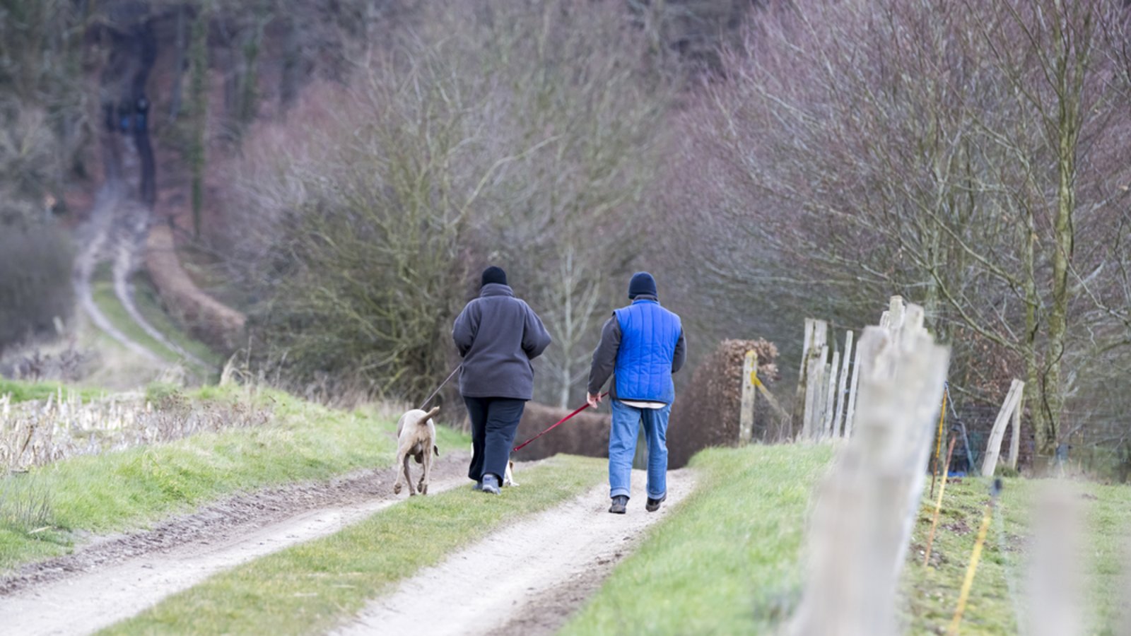 Ist ein Spaziergang in Ordnung?Foto: CatherineLProd / shutterstock.com